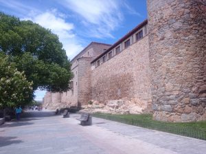 Paseo del rastro en Ávila